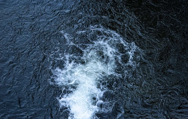 Scientists have discovered hundreds of mysterious giant viruses in oceans around the world