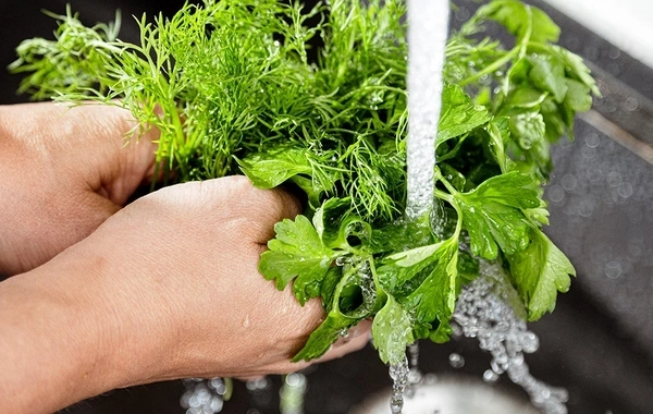 Do you need to wash dill and parsley: remember this forever