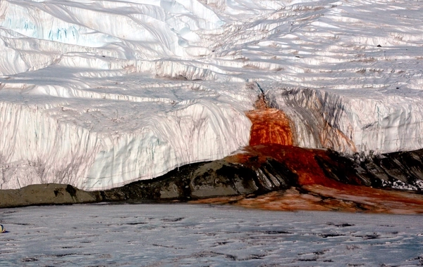 "Blood Falls" of Antarctica Revealed the Secret of Ancient Life