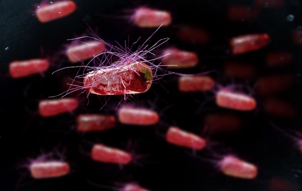 Учёные разработали натуральное средство для эффективного похудения