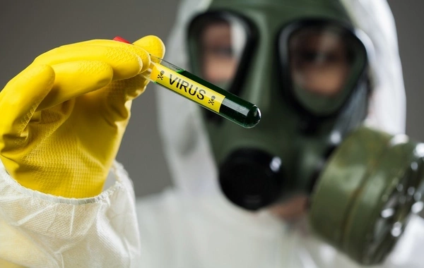 Two new deadly viruses discovered in China